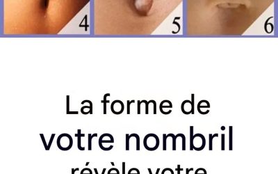 La forme de votre nombril en dit plus long sur vous que vous ne le pensez (voir les commentaires)