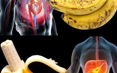 Saviez-vous que manger des bananes augmente… Voir plus