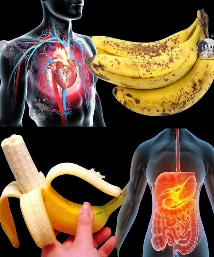 Saviez-vous que manger des bananes augmente… Voir plus