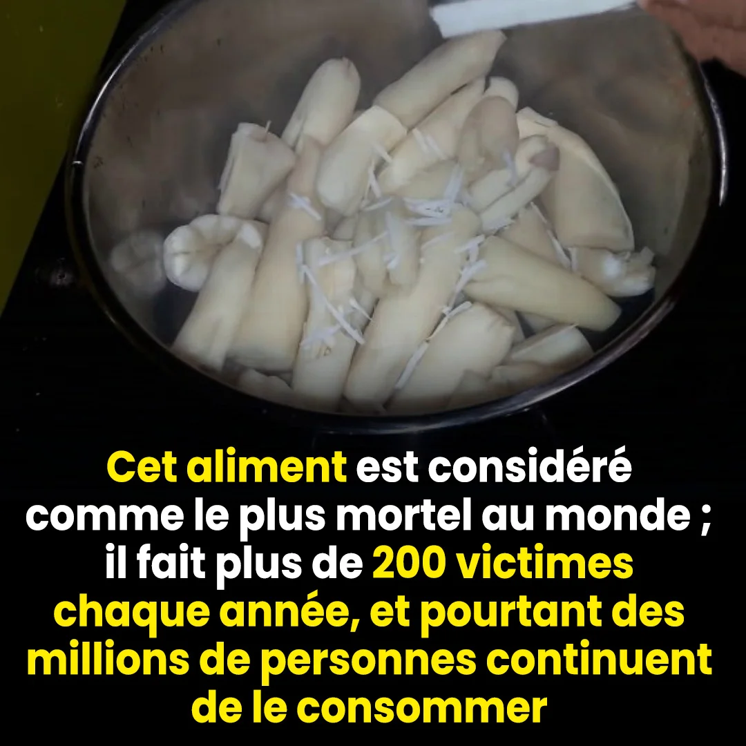 « L’aliment le plus mortel au monde » tue plus de 200 personnes par an, mais des millions de personnes continuent d’en consommer.