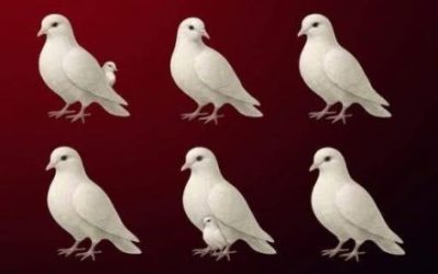 Le nombre de colombes que vous voyez révèle qui marche à vos côtés.