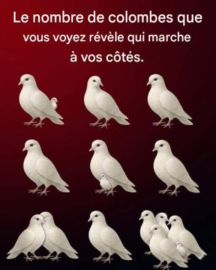 Le nombre de colombes que vous voyez révèle qui marche à vos côtés.