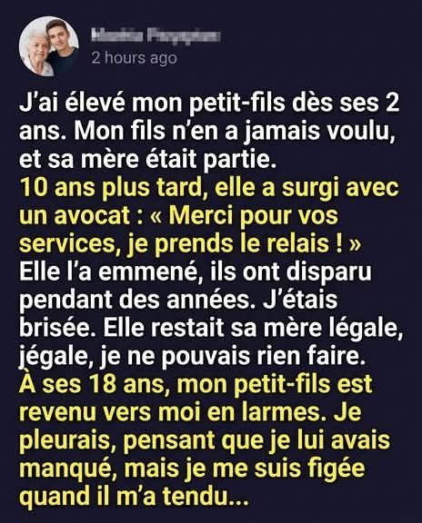 Elle m’a enlevé mon petit-fils après que je l’aie élevé — des années plus tard, il est revenu transformé