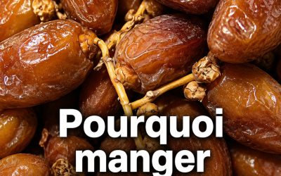 Pourquoi manger 20 à 35 grammes de dattes par jour