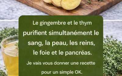 Le gingembre et le thym : un duo naturel aux multiples bienfaits
