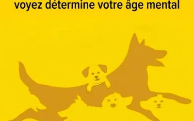 Le nombre de chiens que vous voyez détermine votre âge mental