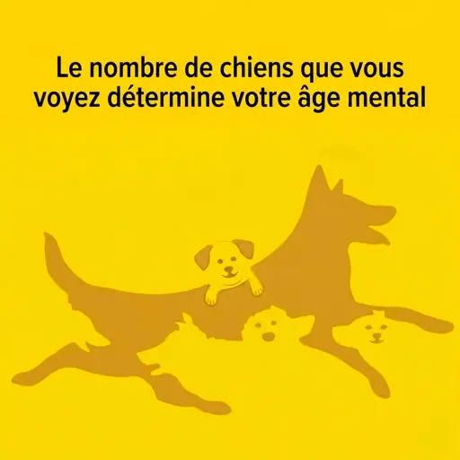 Le nombre de chiens que vous voyez détermine votre âge mental