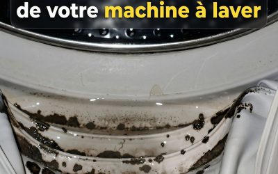 Comment éliminer les moisissures dangereuses et les odeurs de votre machine à laver facilement