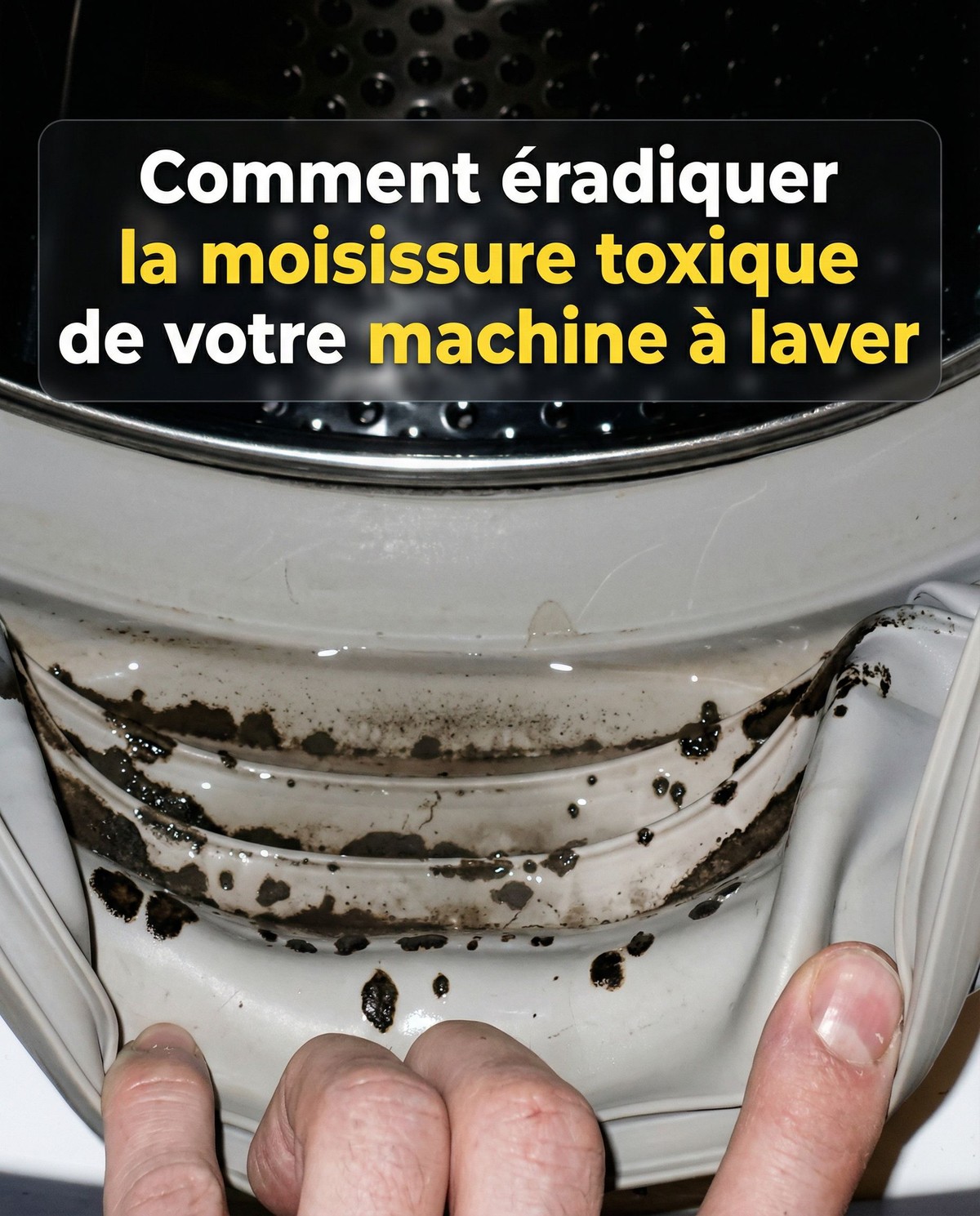 Comment éliminer les moisissures dangereuses et les odeurs de votre machine à laver facilement