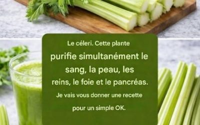 Jus détoxifiant pour le foie et le pancréas…