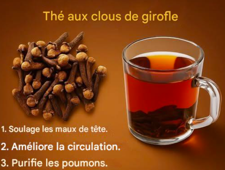 « L’épice ancestrale dans votre cuisine : 18 façons dont le thé au clou de girofle améliore la santé, le métabolisme et la longévité »