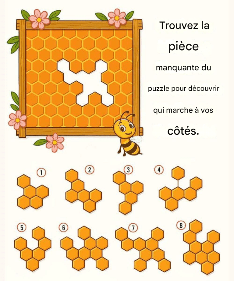 Trouvez le morceau de nid d’abeille manquant pour savoir qui marche à vos côtés