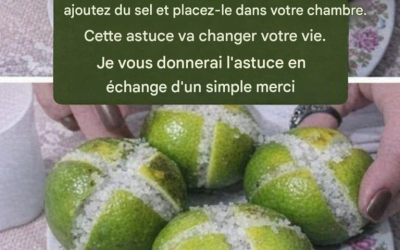 LES CITRONS….voir la recettes dans les commentaires