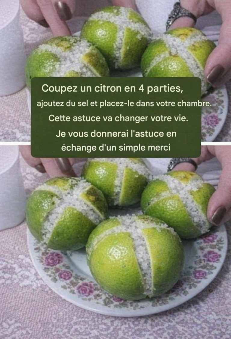 LES CITRONS….voir la recettes dans les commentaires