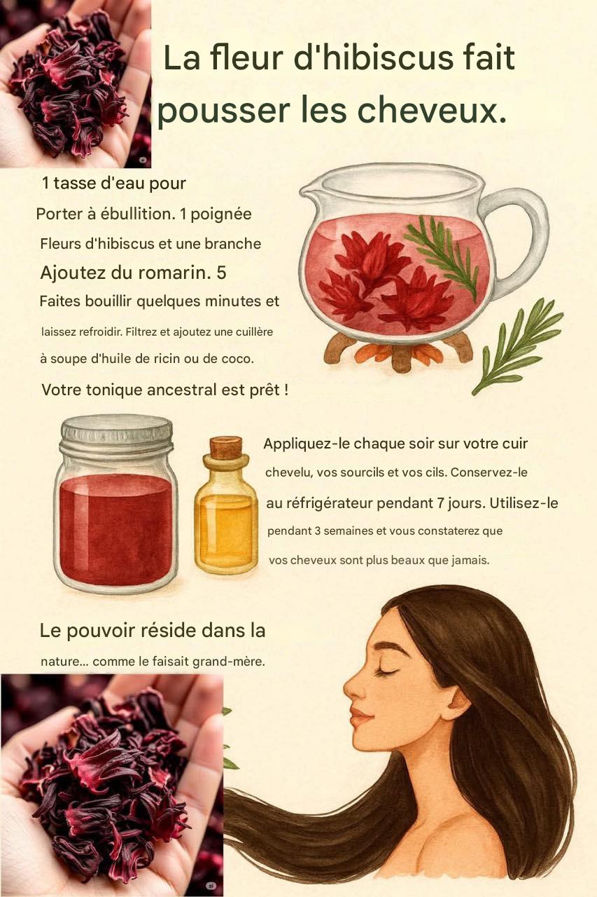 Fleur d’hibiscus : le secret naturel pour la croissance de vos cheveux