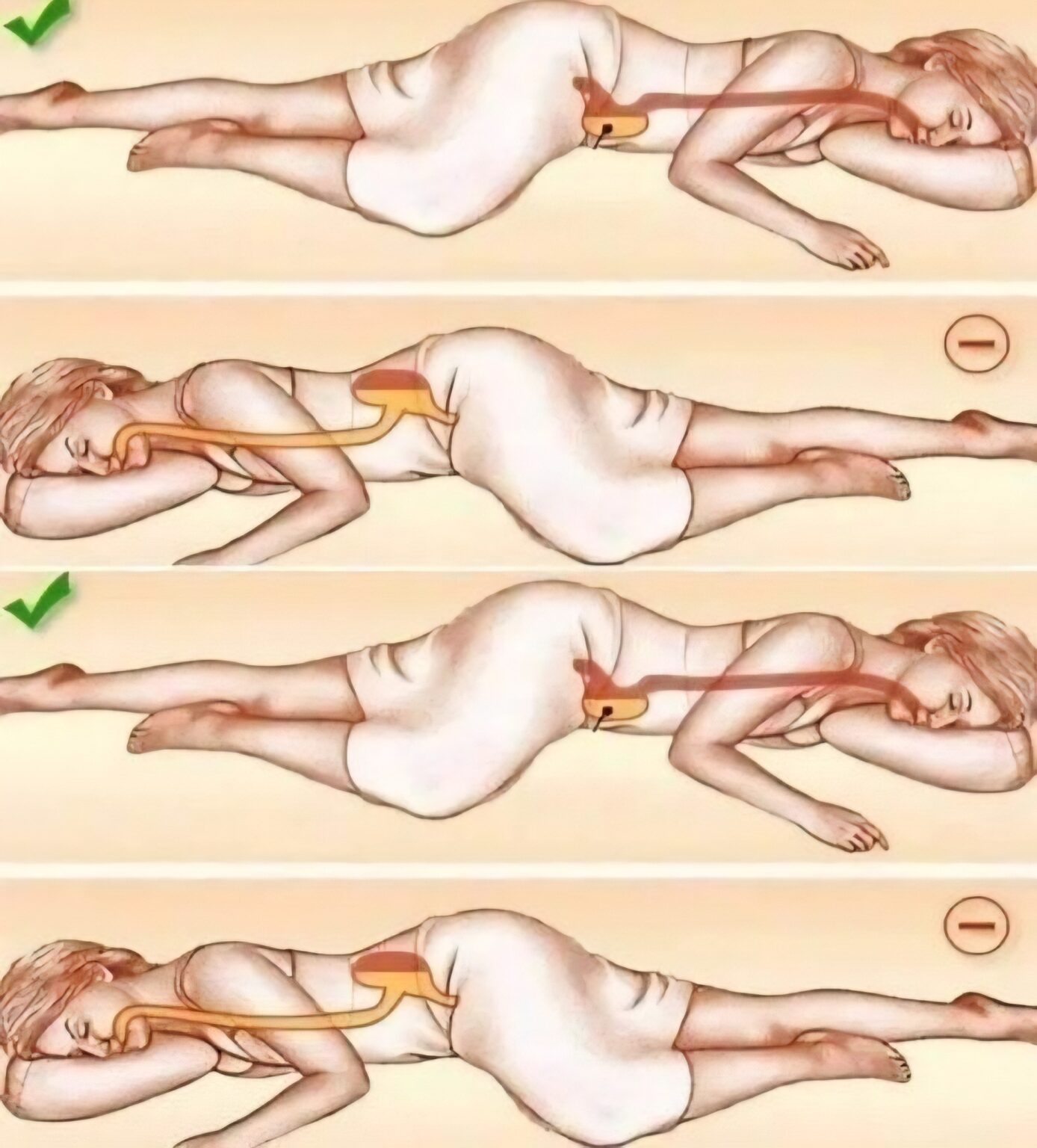Voici les bienfaits du sommeil sur le côté gauche pour la santé de notre cerveau, de notre estomac et de notre système lymphatique…voir plus dans les commentaires