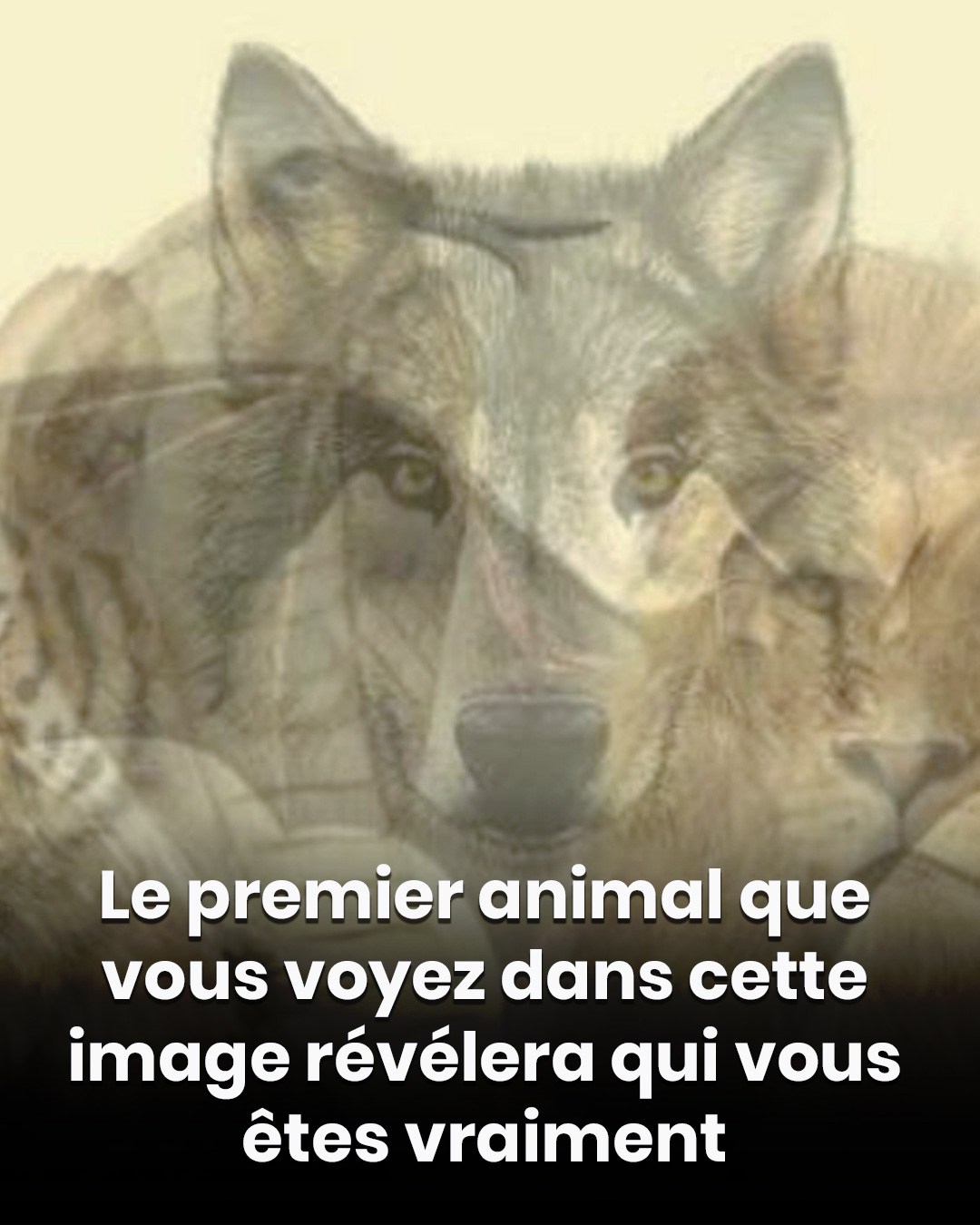 Le premier animal que vous voyez sur cette image révélera qui vous êtes ?