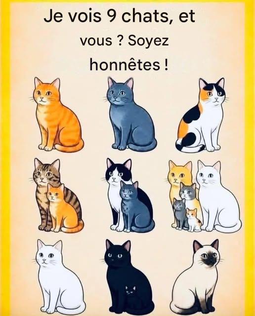 Avez-vous vu Connected Chats ?
