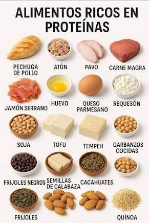 20 alimentos más altos en proteína, organizados aproximadamente por densidad proteica (gramos de proteína por 100 g de alimento), teniendo en cuenta tanto fuentes animales como vegetales…Ver más