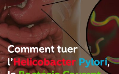 Comment éliminer la bactérie responsable des brûlures d’estomac et des ballonnements