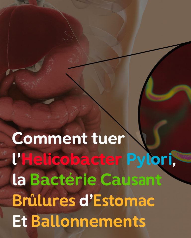 Comment éliminer la bactérie responsable des brûlures d’estomac et des ballonnements