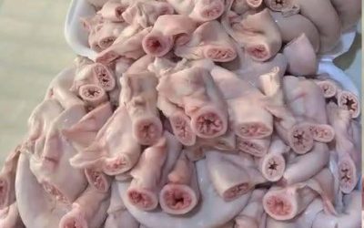 Ne vous laissez pas berner par les supermarchés. Ils vous vendent de la viande provenant de… Lire la suite