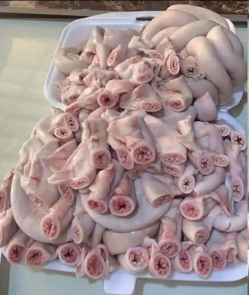 Ne vous laissez pas berner par les supermarchés. Ils vous vendent de la viande provenant de… Lire la suite