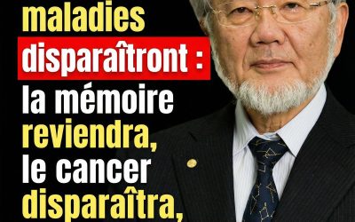 Les secrets de longévité des plus vieux médecins japonais : les aliments à consommer quotidiennement pour vivre jusqu’à 100 ans