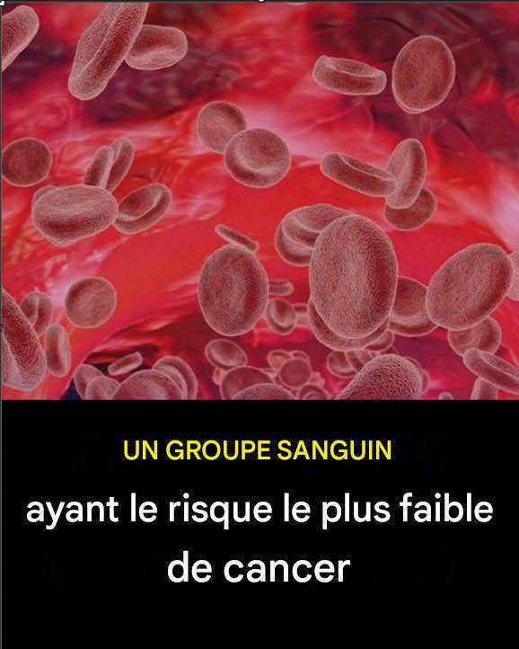 Recette santé : Découvrez le groupe sanguin associé à un risque moindre de cancer et le régime alimentaire qui soutient le système immunitaire