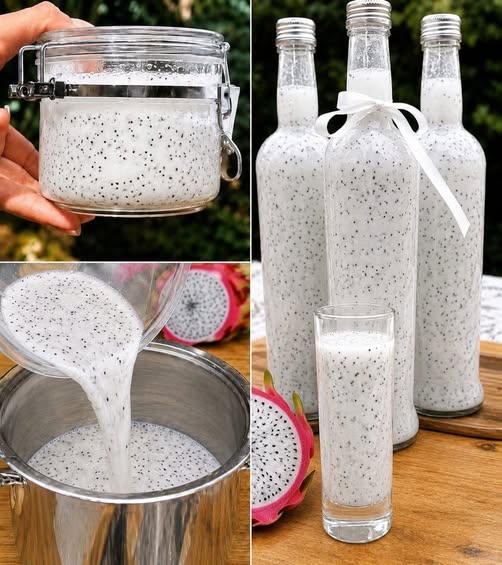 Recette Professionnelle de Jus Concentré de Pitaya Blanche (Fruit du Dragon Blanc)
