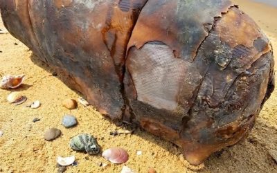 Je marchais le long de la plage quand je suis soudainement tombé sur cet étrange objet — je le fixe depuis une heure et je n’arrive toujours pas à comprendre ce que c’est…