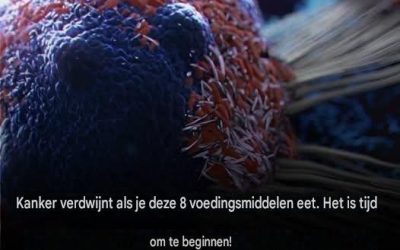 Les 8 meilleurs aliments dans la lutte contre le cancer : il est temps de les intégrer à votre alimentation.