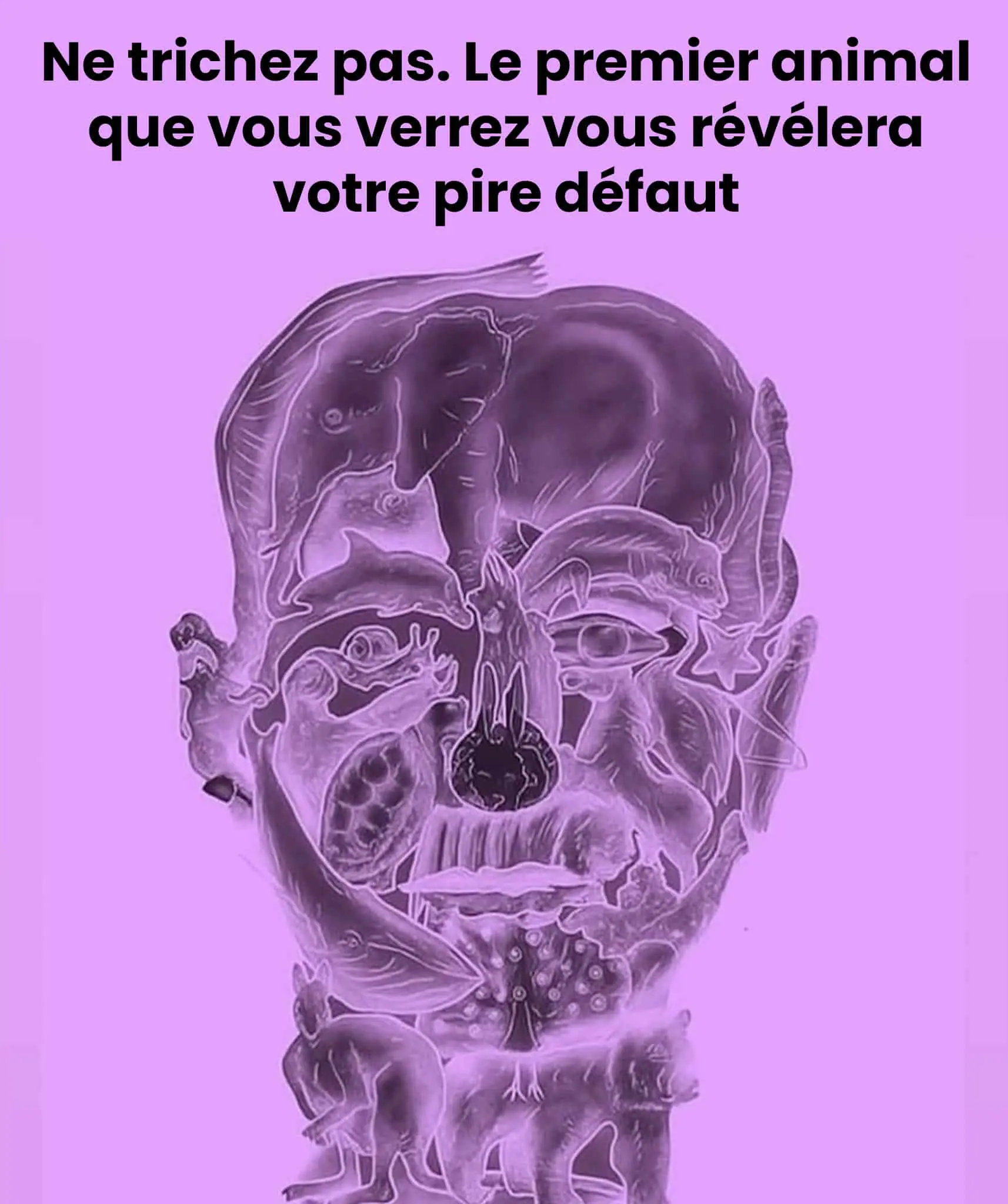Ce que votre premier regard sur cette image dévoile de votre personnalité