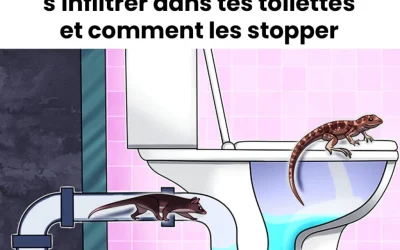 Protégez votre salle de bain : 5 intrus insolites à surveiller