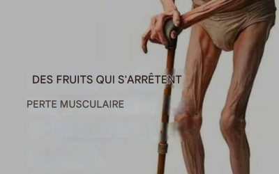 6 aliments qui aident à augmenter la masse musculaire voir la suite.