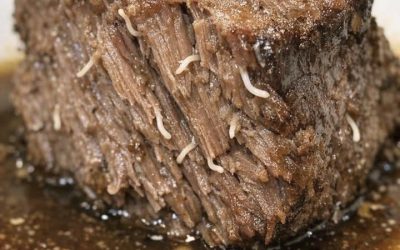 J’ai sorti mon rôti de bœuf de la mijoteuse et j’ai vu d’étranges filaments blancs qui dépassaient de la viande. On dirait des petits vers ou des parasites. La viande est-elle infestée ?
