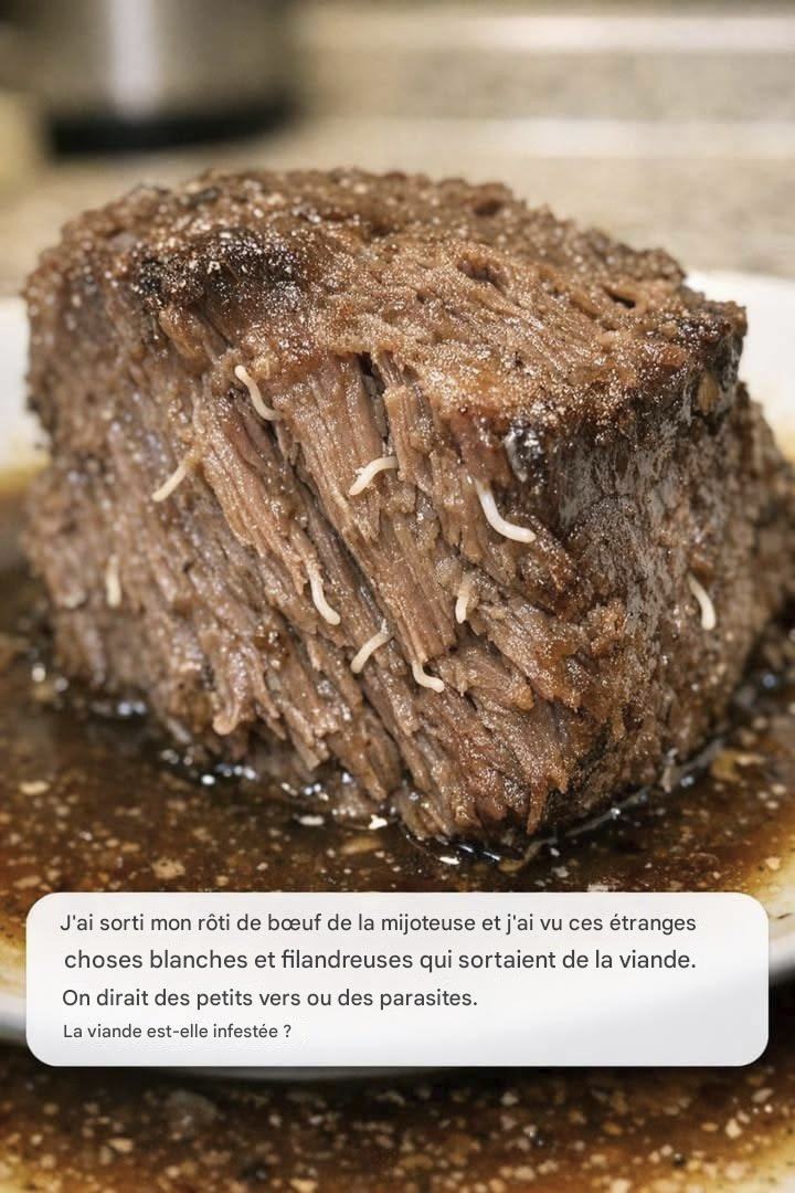 J’ai sorti mon rôti de bœuf de la mijoteuse et j’ai vu d’étranges filaments blancs qui dépassaient de la viande. On dirait des petits vers ou des parasites. La viande est-elle infestée ?