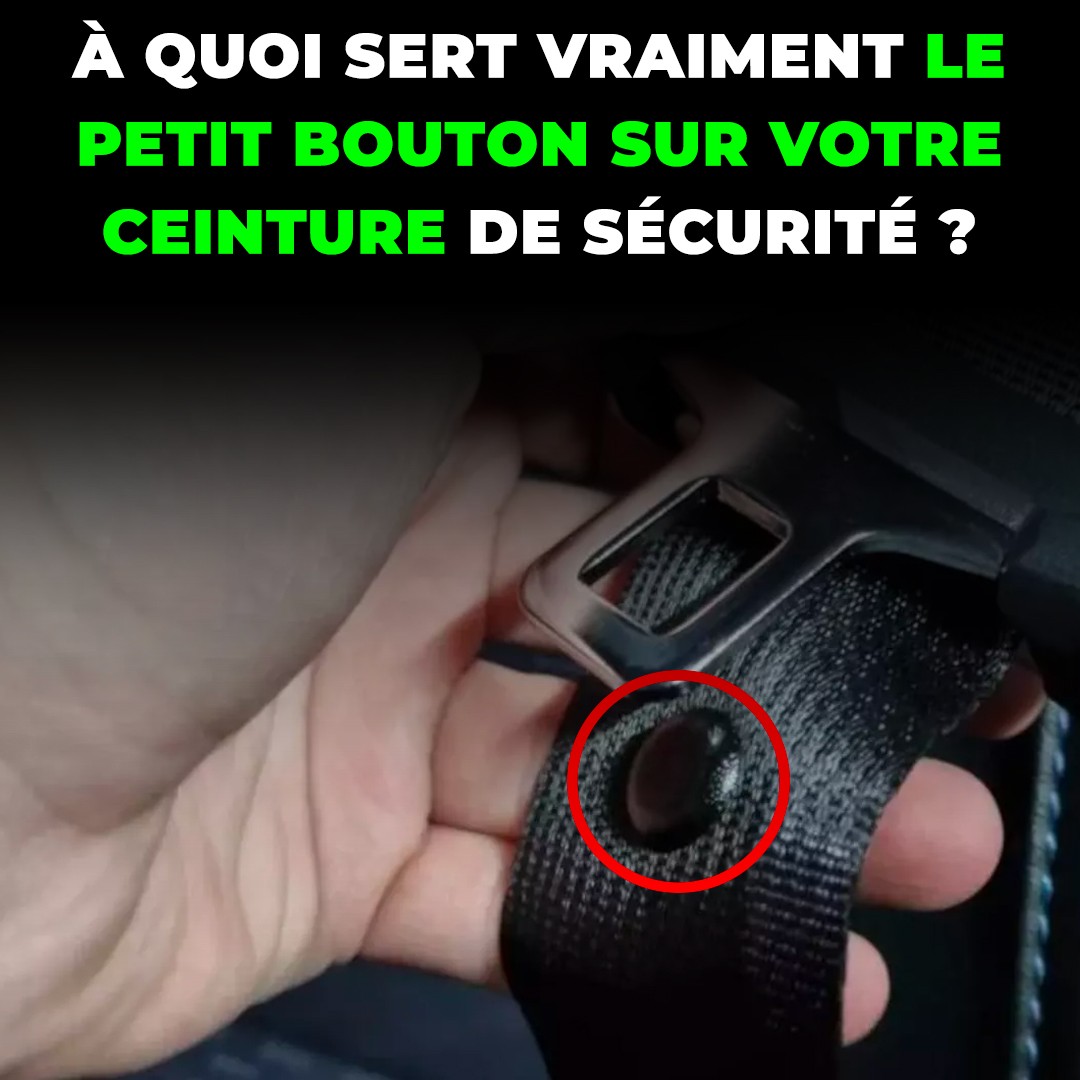 Ce détail méconnu de votre ceinture de sécurité va changer vos trajets