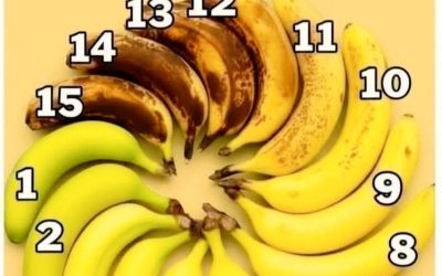 La banane parfaite ? Mon vote va aux numéros 7 à 9.