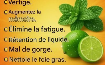 Jus de menthe au citron