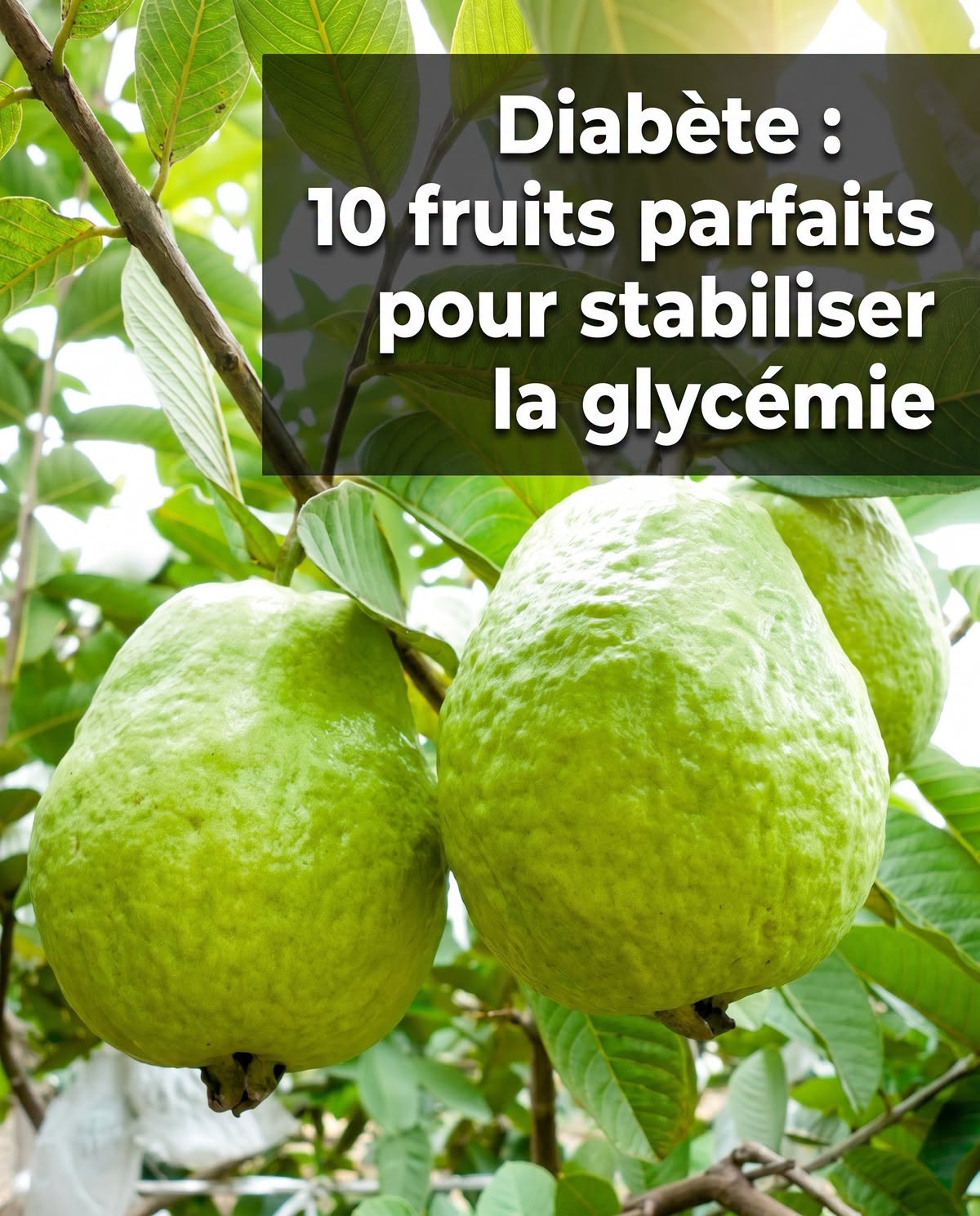 Les 10 meilleurs fruits pour les diabétiques