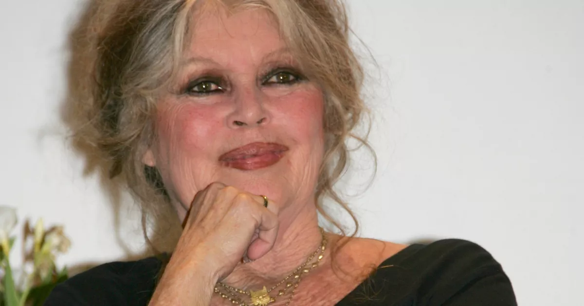La petite-fille de Brigitte Bardot est une actrice française que vous connaissez tous ! 😱 😲👇Voir plus
