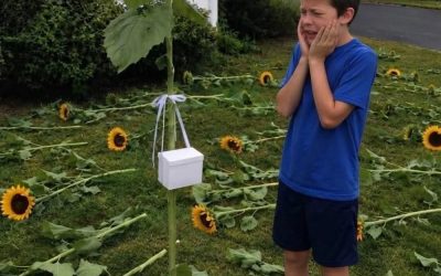 Chaque année, mon fils plantait des tournesols pour sa sœur jumelle ; un matin, nous avons trouvé toutes les fleurs coupées sauf une, à laquelle était suspendue une petite boîte blanche.