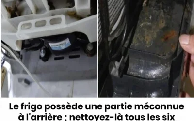 Optimisez vos économies d’énergie en entretenant cette zone méconnue de votre frigo tous les semestres