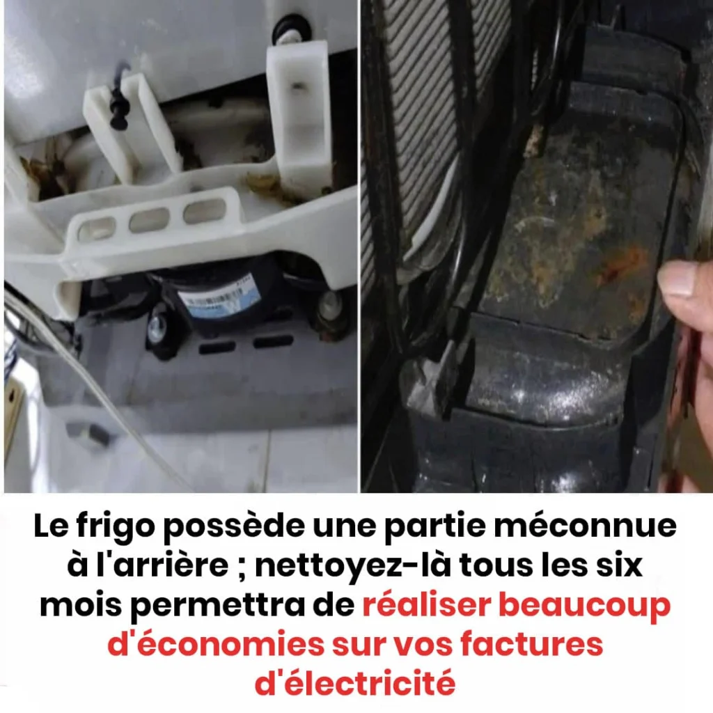 Optimisez vos économies d’énergie en entretenant cette zone méconnue de votre frigo tous les semestres