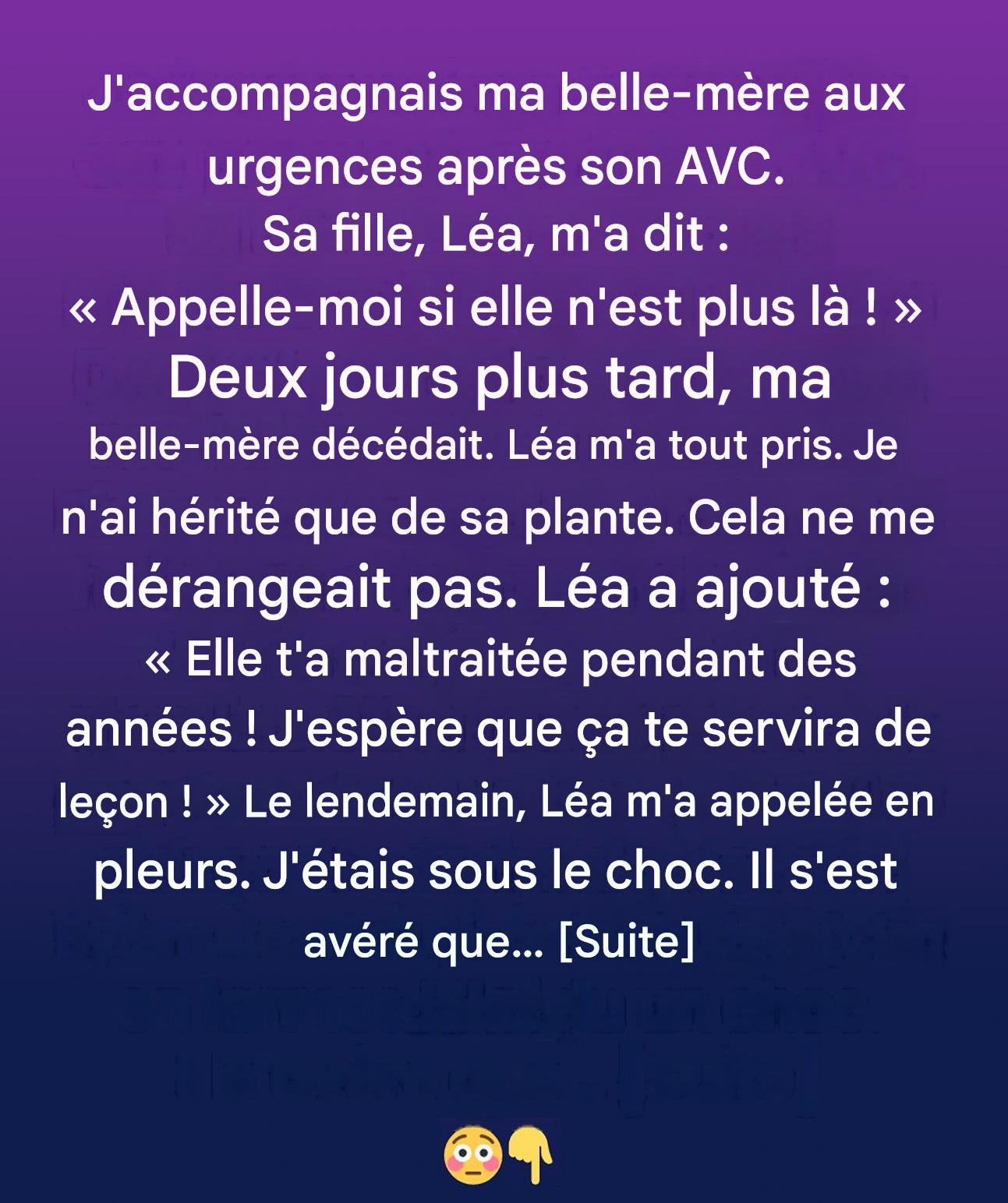 Ce que cachait la plante en pot de ma belle-mère : la révélation qui a bouleversé ma vie