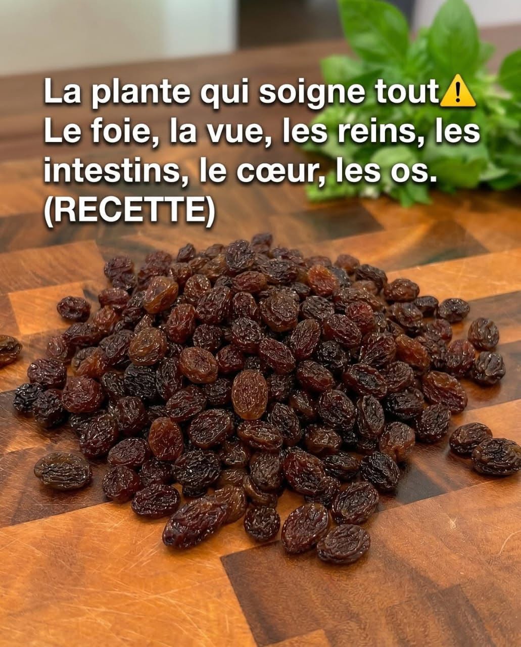 La plante qui soigne tout Le foie, la vue, les reins, les intestins, le cœur, les os.