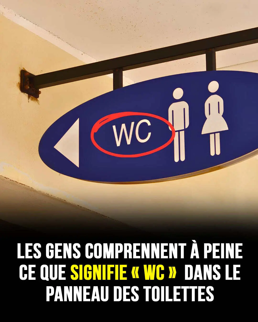 Découverte inattendue du sens caché derrière le symbole des toilettes
