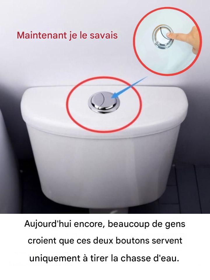 Beaucoup de gens pensent encore que ces deux boutons servent uniquement à tirer la chasse d’eau.