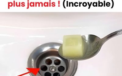 La solution naturelle pour des canalisations impeccables !